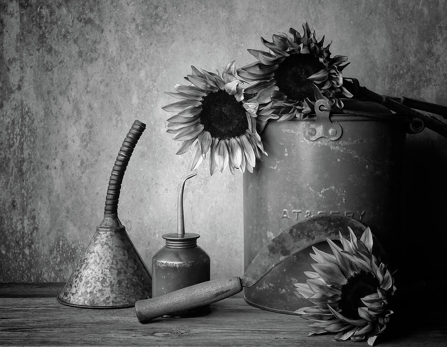 Tool Photograph - Sunflowers and Tools 1 by Connie Carr