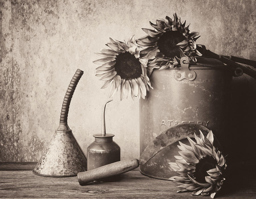 Tool Photograph - Sunflowers and Tools 2 by Connie Carr