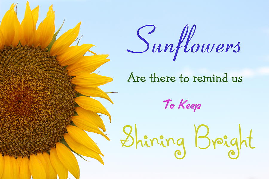 Sunflowers Are There To Remind Us To Keep Shining Bright Photograph