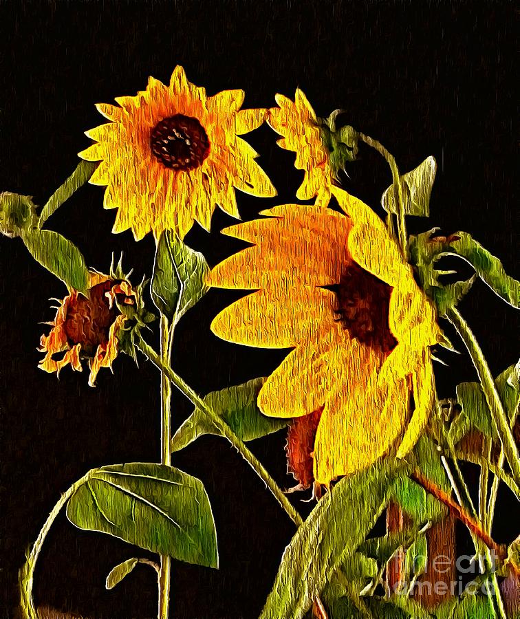 Sunflowers at Night - Textured Look Photograph by Sea Change Vibes