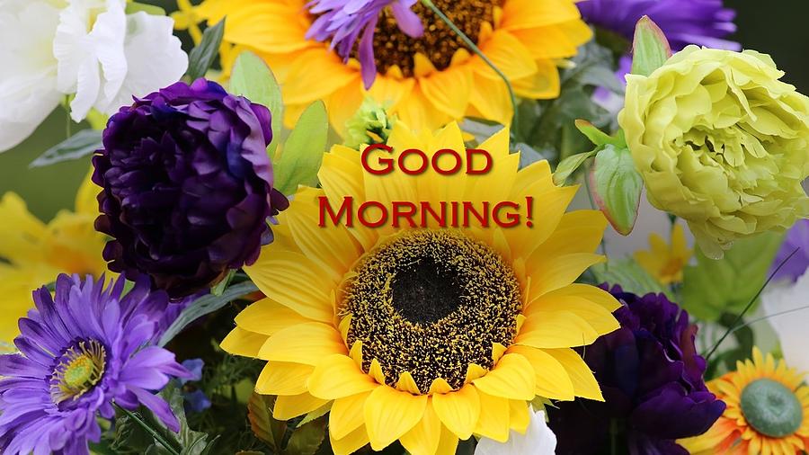 Sunflowers Bid Good Morning Photograph by Nancy Ayanna Wyatt
