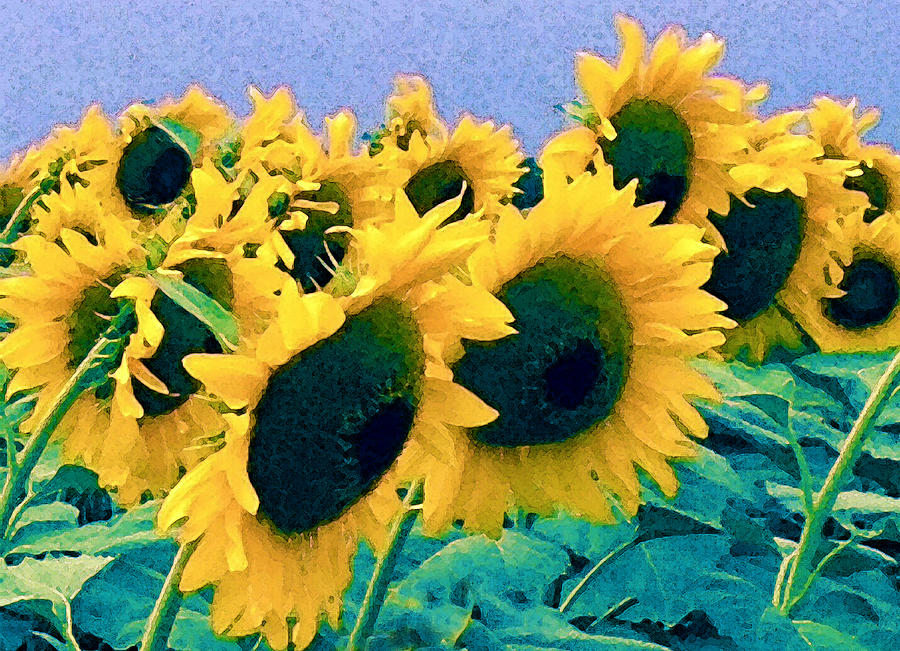 Sunflowers Blowing Digital Digital Art
