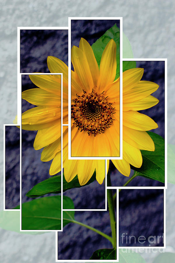 Sunflowers Bring Smiles Photograph by Al Bourassa