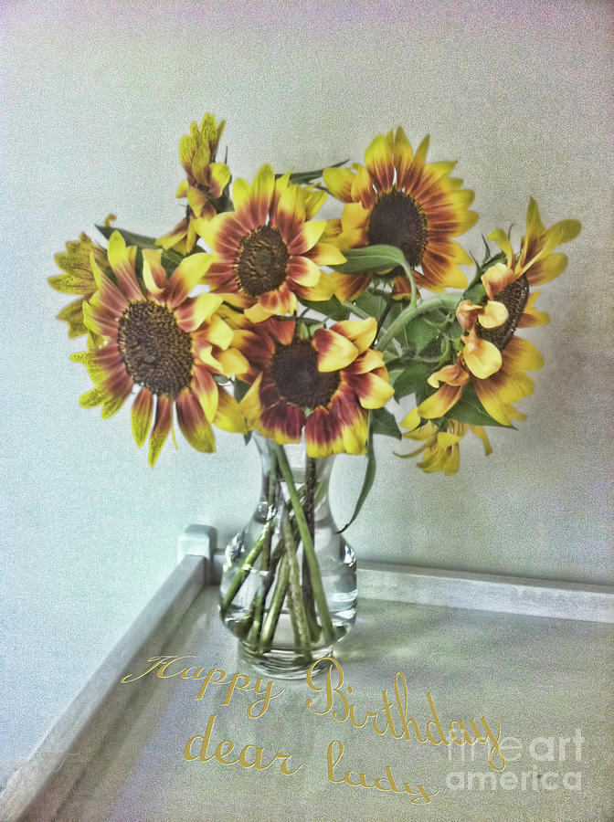 Sunflowers Photograph by Elaine Teague