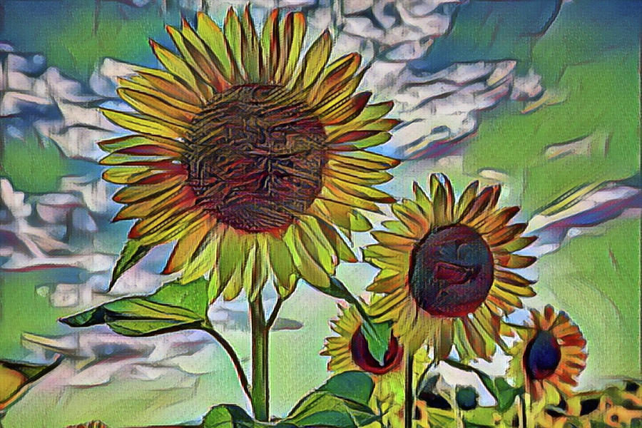 Sunflowers Facing the Sun Digital Art by Suteepan Fine Art America
