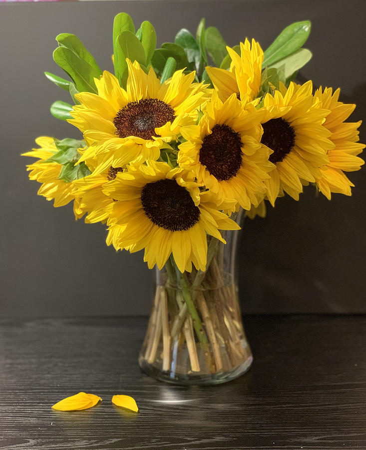 Sunflowers From My Brother Photograph