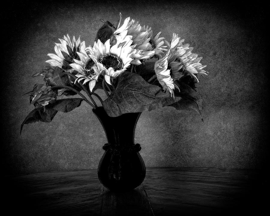 Sunflowers in Black and White Digital Art by Sandra Selle Rodriguez