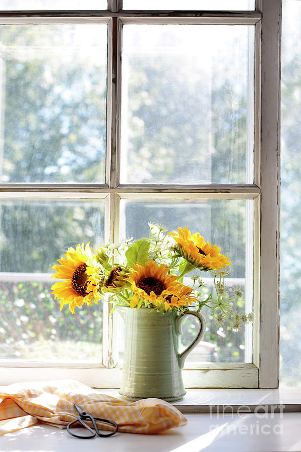 Sunflowers in jug on a sunny window sill Photograph by Sandra Cunningham