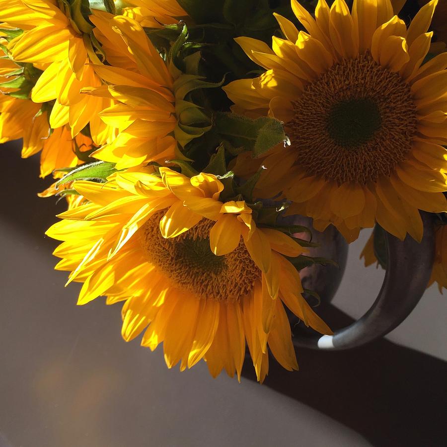 Sunflowers in Pewter Vase  Photograph by Maureen J Haldeman