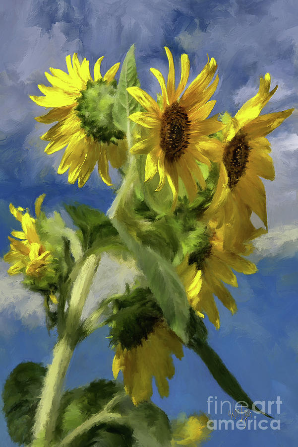 Sunflowers In The Sun Digital Art by Lois Bryan