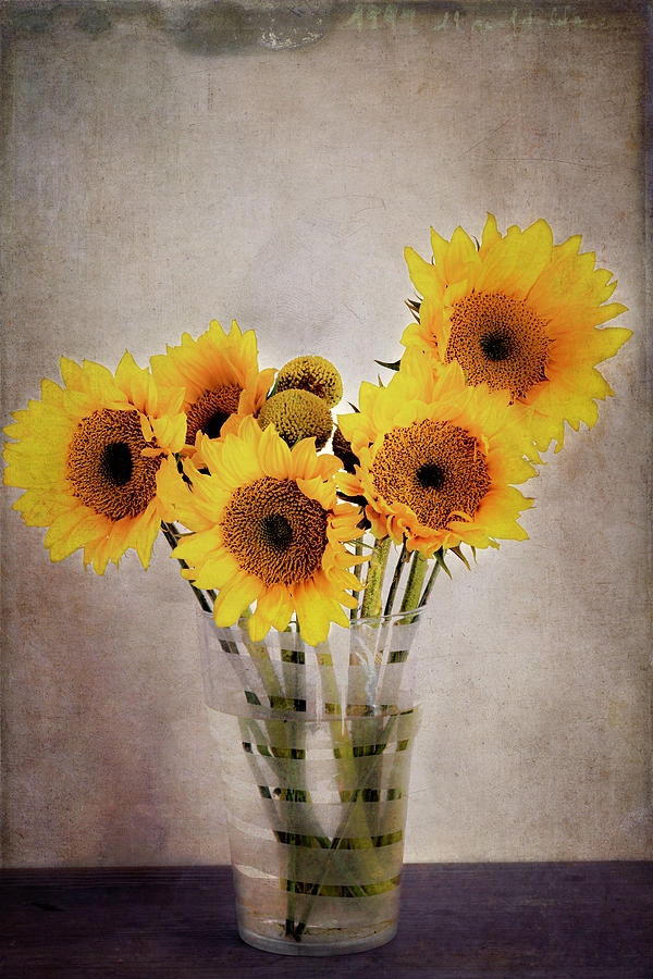 Sunflowers in Vase - Still Life Texture Photograph by AS MemoriesLiveOn ...