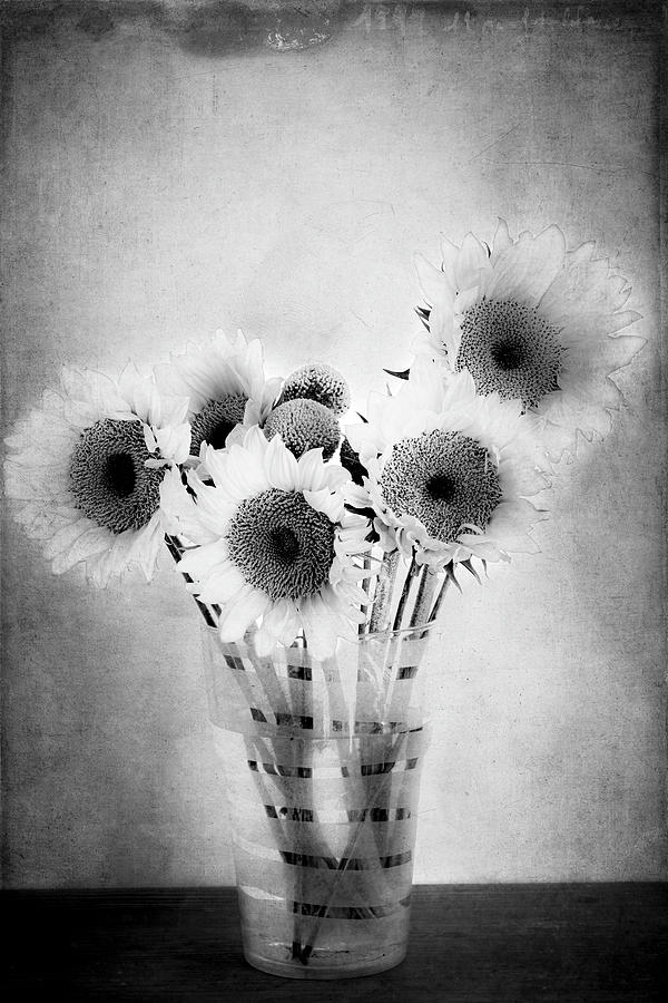 Sunflowers In Vase_still Life Texture Black And White Photograph