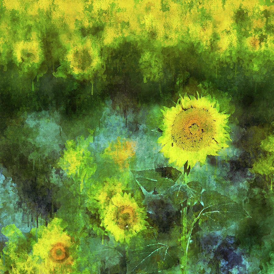 Sunflowers Digital Art by Joseph Hawk