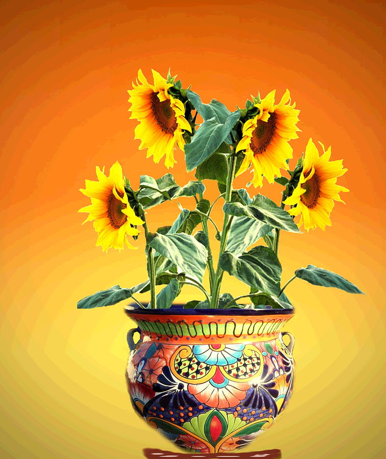 Sunflowers Photograph by Joyce Dickens