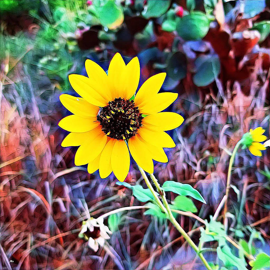 Sunflowers Digital Art by Meghan Elizabeth