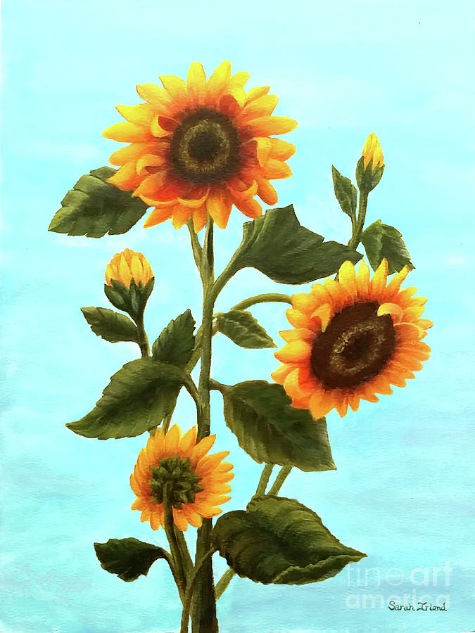 Sunflowers on Blue Painting by Sarah Irland