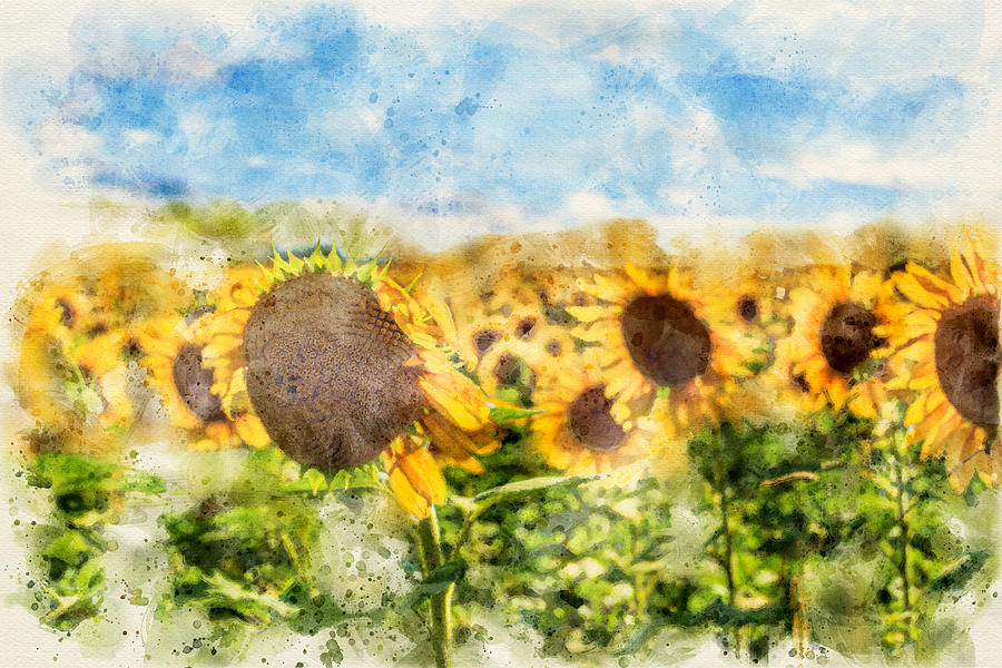 Sunflowers on the Loire Watercolor Digital Art by Luis G Amor - Lugamor