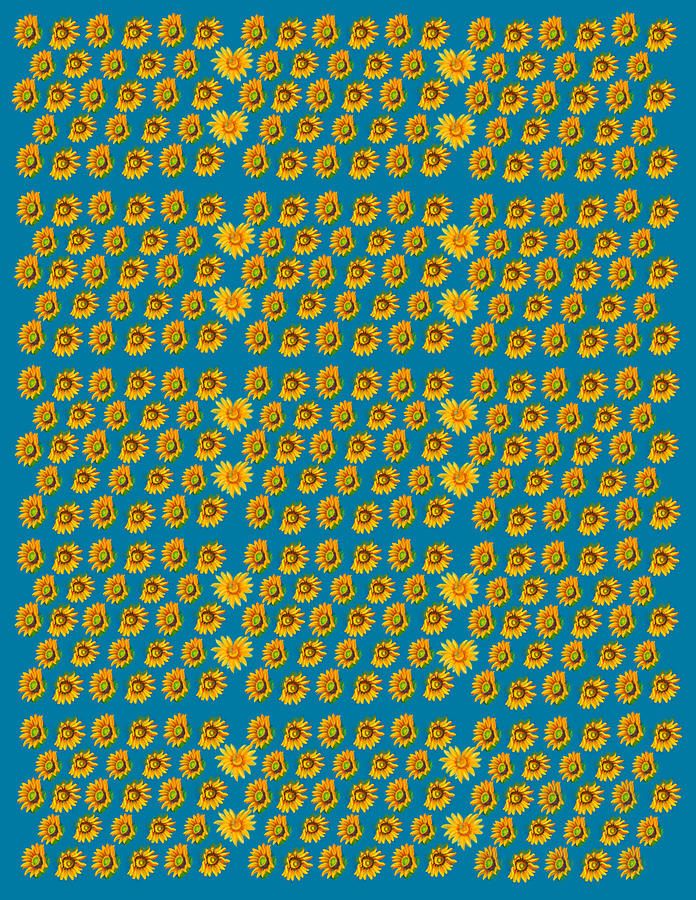 Sunflowers Pattern with Heart Digital Art by Iris Richardson