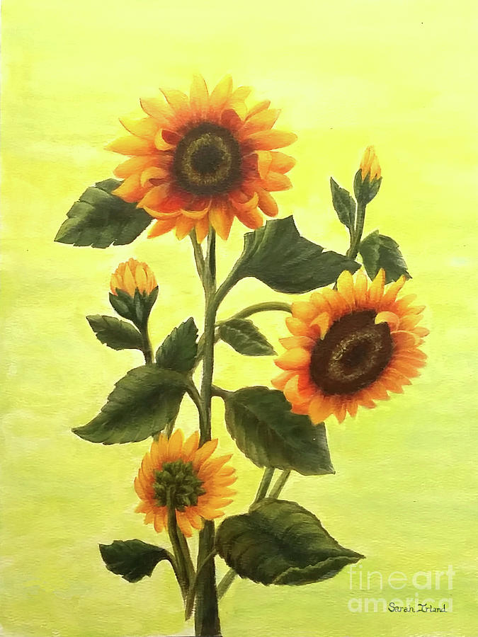 Sunflower Painting - Sunflowers by Sarah Irland