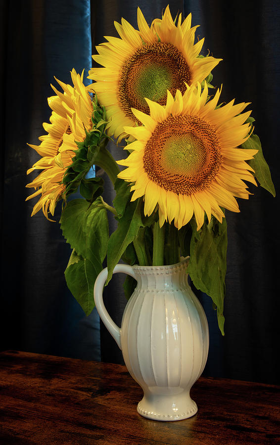 Sunflowers Still Life 1 Photograph by Dimitry Papkov
