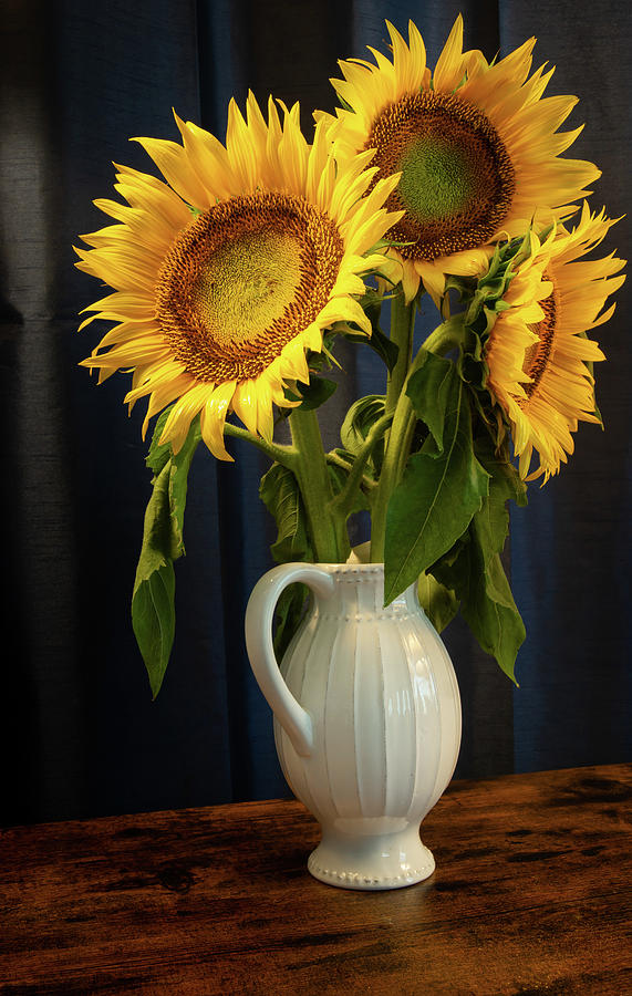 Sunflowers Still Life 2 Photograph by Dimitry Papkov