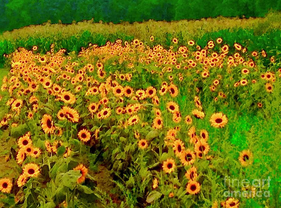 Sunflowers Digital Art by Tammy Keyes