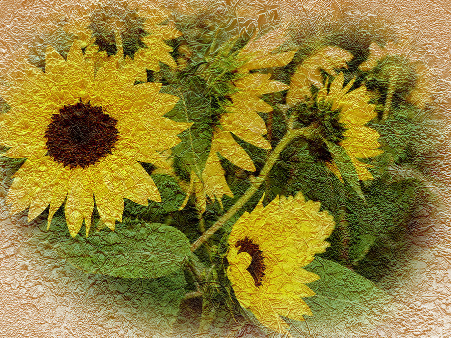Sunflowers Textured Design Photograph by Aimee L Maher ALM GALLERY