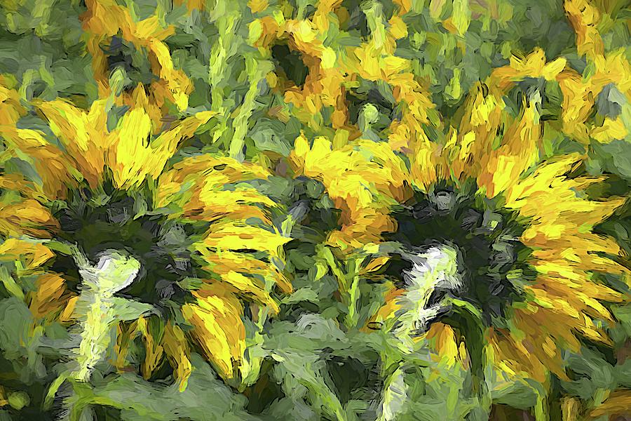 Sunflowers Turned by Alice Gipson Sunflowers Turned by Alice Gipson