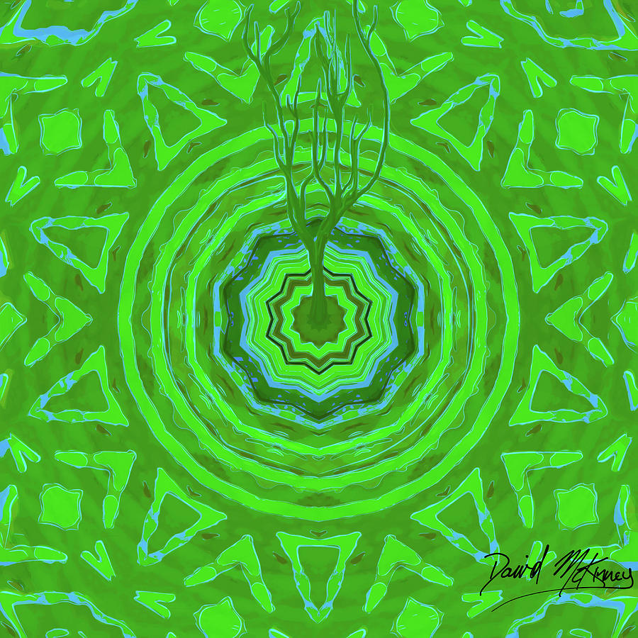 Sung II Digital Art by David McKinney
