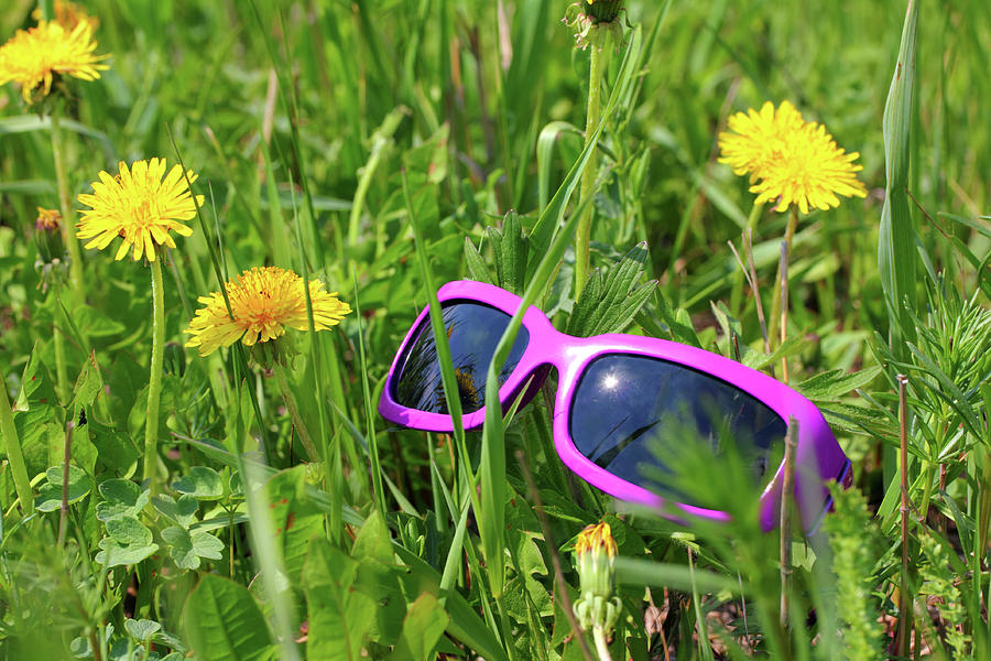 Sunglasses In Green Grass With Dandelions Photograph by Mikhail Kokhanchikov
