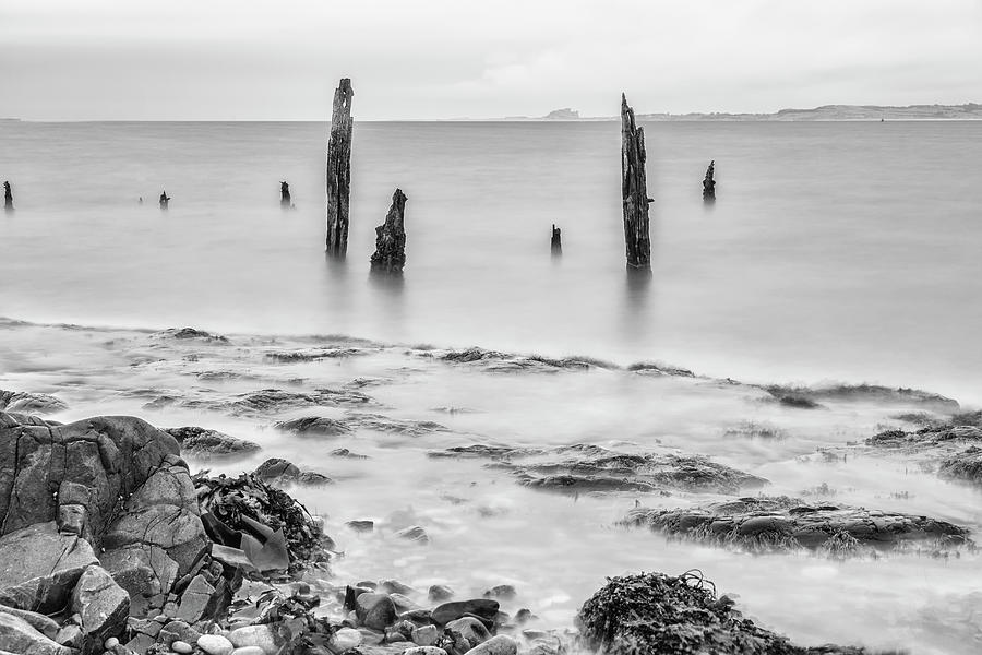 Sunken Posts at High Tide Photograph by John Paul Cullen
