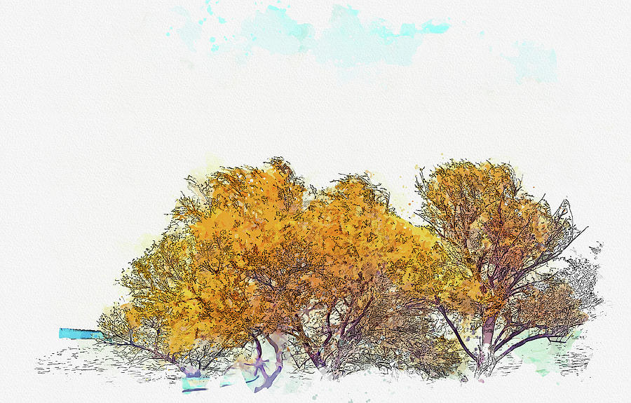 Sunken trees, ca 2021 by Ahmet Asar, Asar Studios Painting by Celestial Images