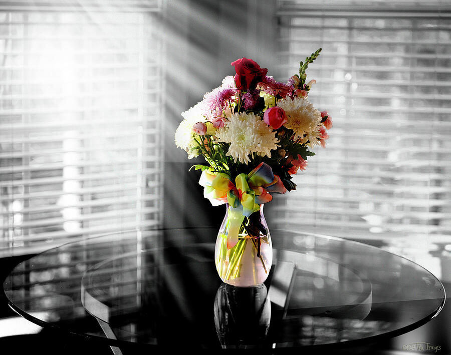 Sunkissed Bouquet Photograph by TruImages Photography