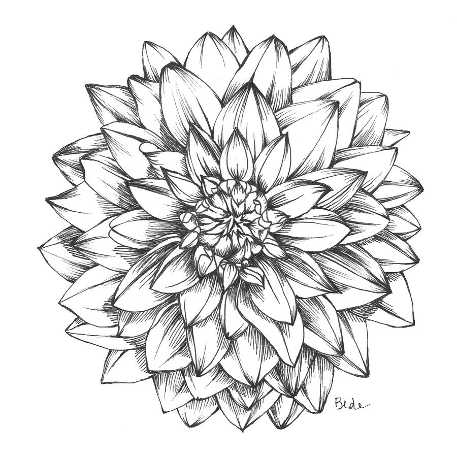 Sunlight and Dahlias Drawing by Catherine Bede
