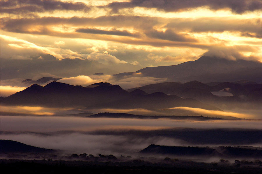 Sunlight At Play Photograph By Rudolf Volkmann Pixels