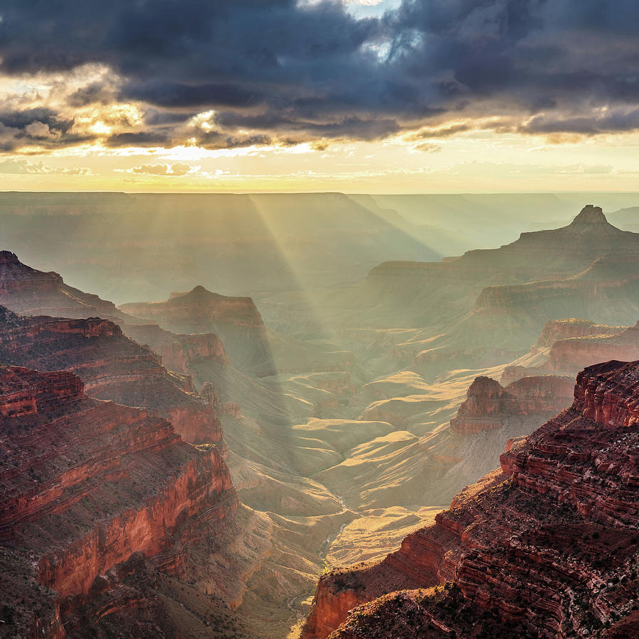 Sunlight in the Canyon Photograph by Sqwhere Photo - Fine Art America
