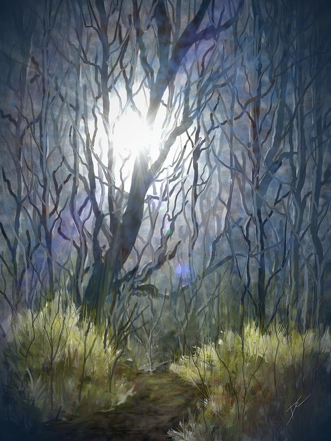 Sunlight in the Forest Digital Art by Darren Cannell