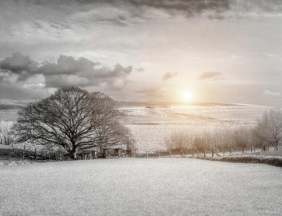 Sunlight on Farmland Photograph by Wim Lanclus