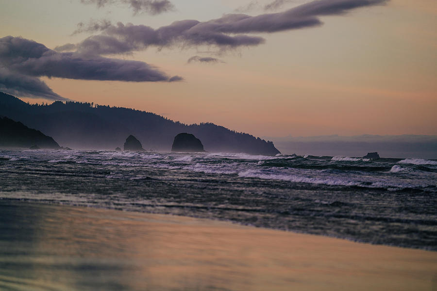 Sunlight on the Coast Photograph by Samantha Parnham - Fine Art America