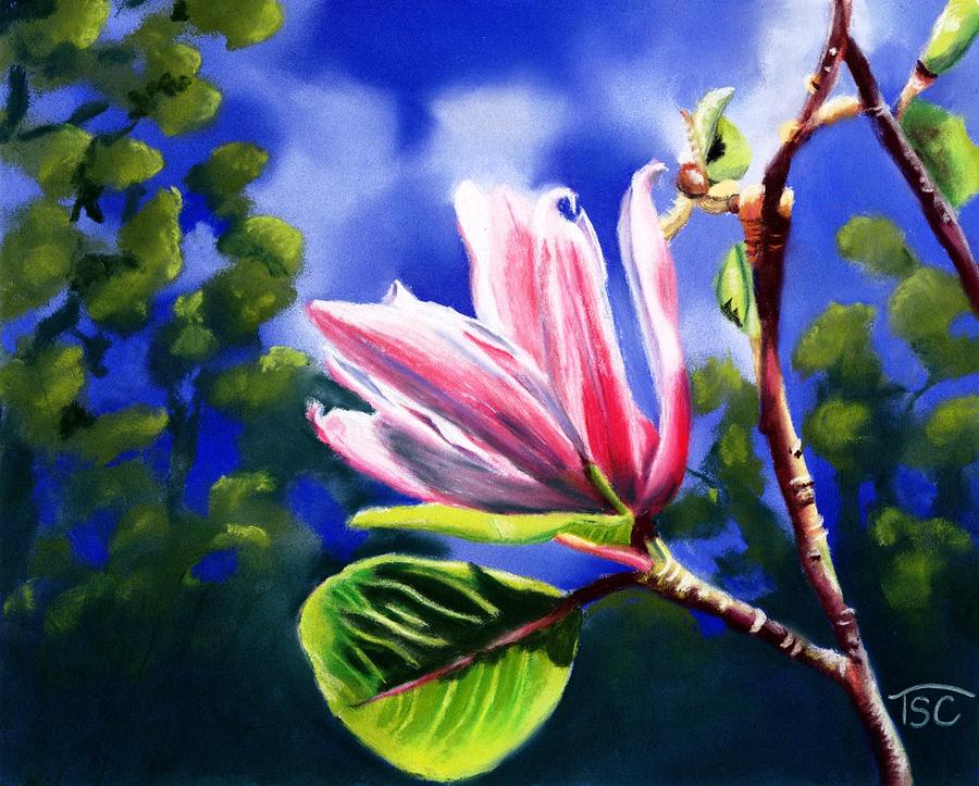 Sunlight on the Magnolia Painting by Tammy Crawford