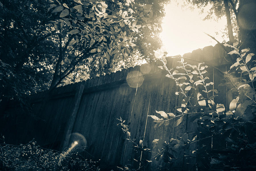 Sunlight Over the Dark Fence Photograph by Windy Craig