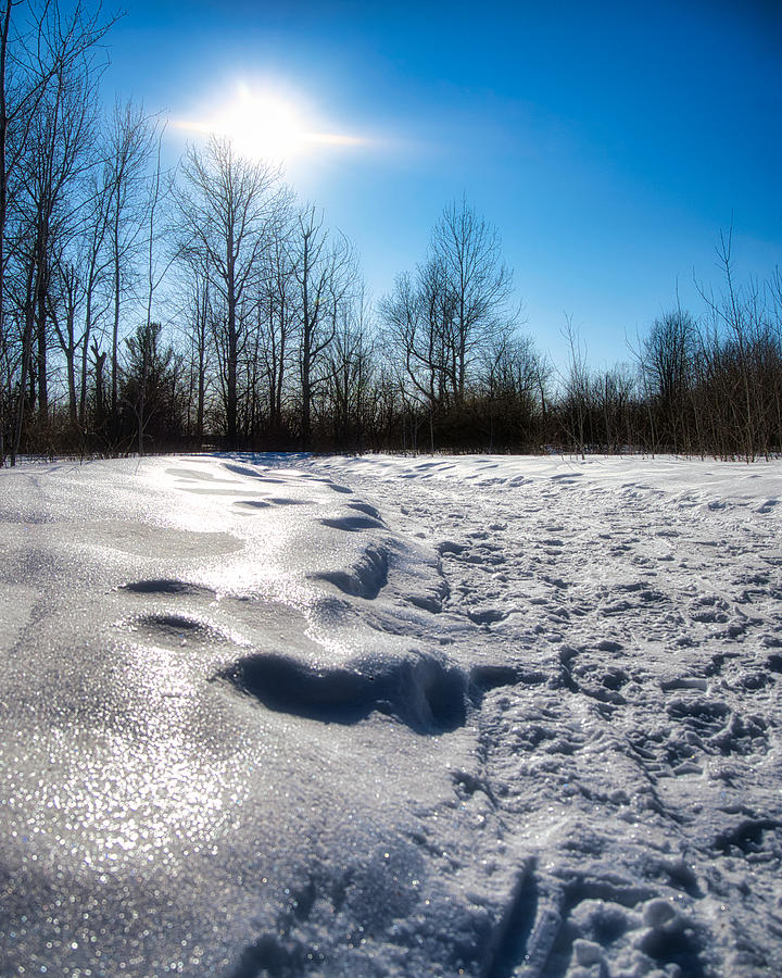 reflection of sunlight on snow