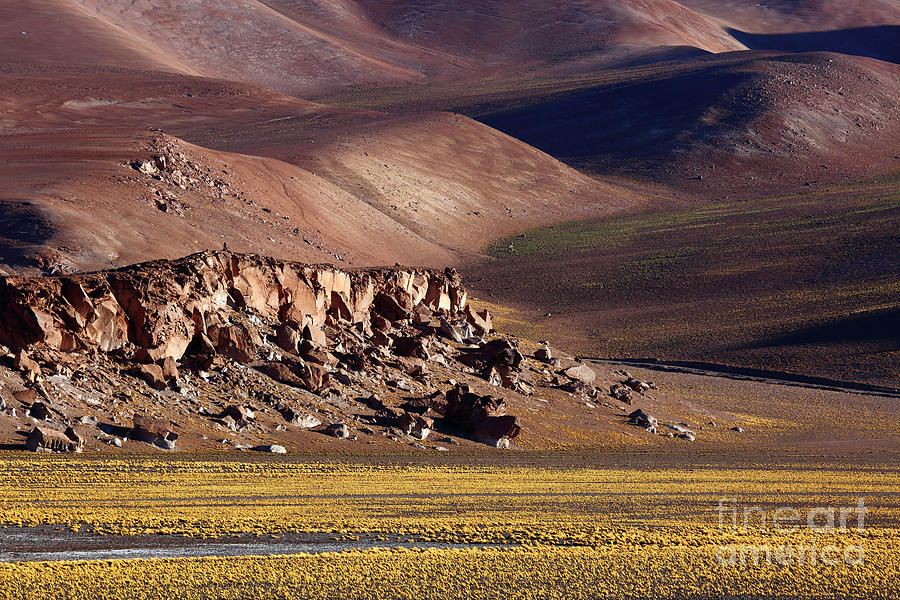 Sunlight shadow and volcanic rock outcrop in the Puna de Atacama Chile Photograph by James Brunker
