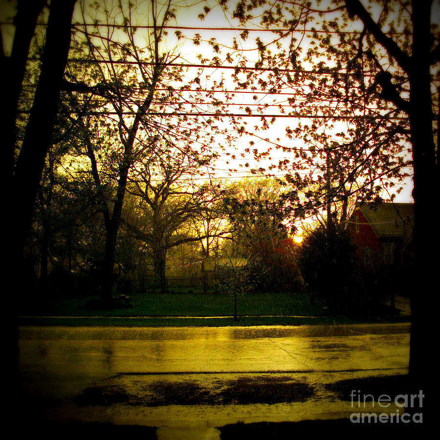 Sunlight Through The Rain Photograph by Frank J Casella
