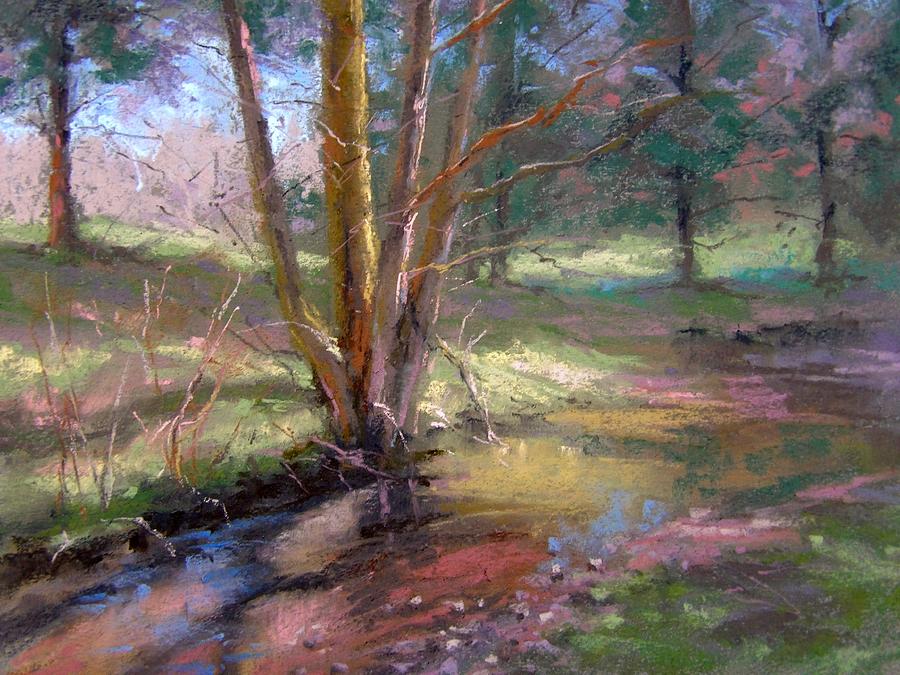 Sunlight through the Trees Pastel by Alan Chaney | Fine Art America