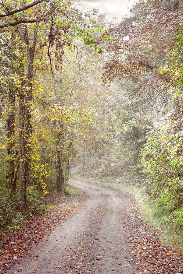 Sunlit Autumn Misty Trails II Photograph by Debra and Dave Vanderlaan