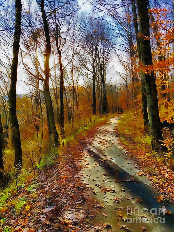 Sunlit Autumn Path Digital Art