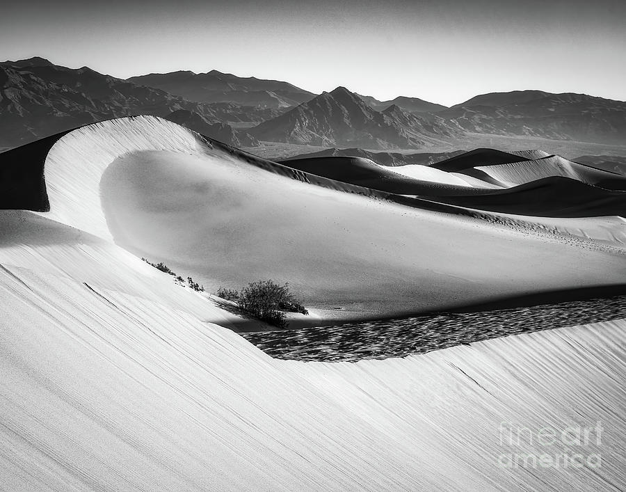 Sunlit dunes Photograph by Izet Kapetanovic