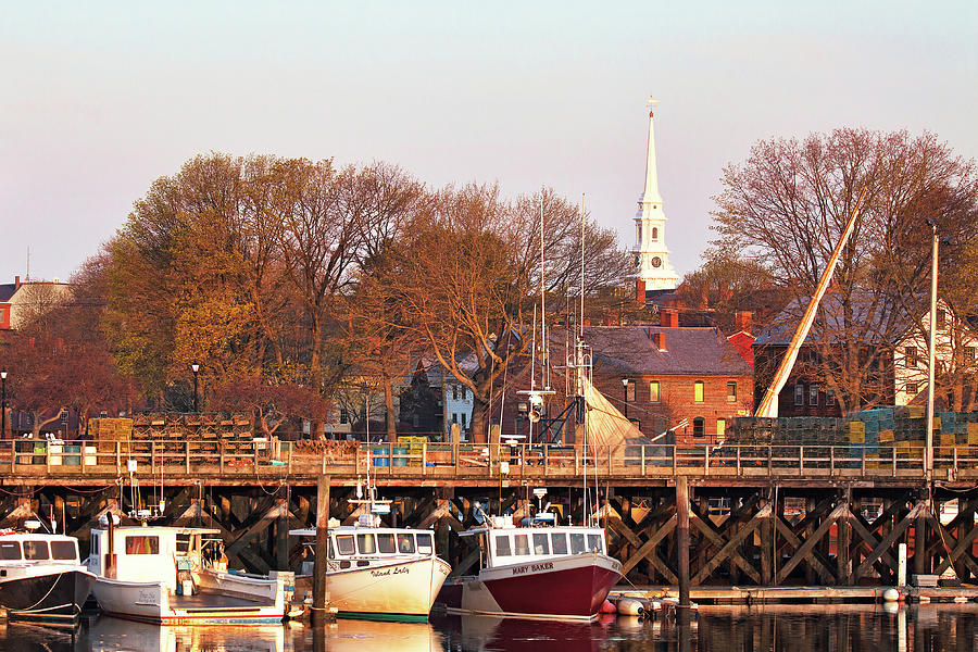 Sunlit Fishing Fleet Photograph by Eric Gendron