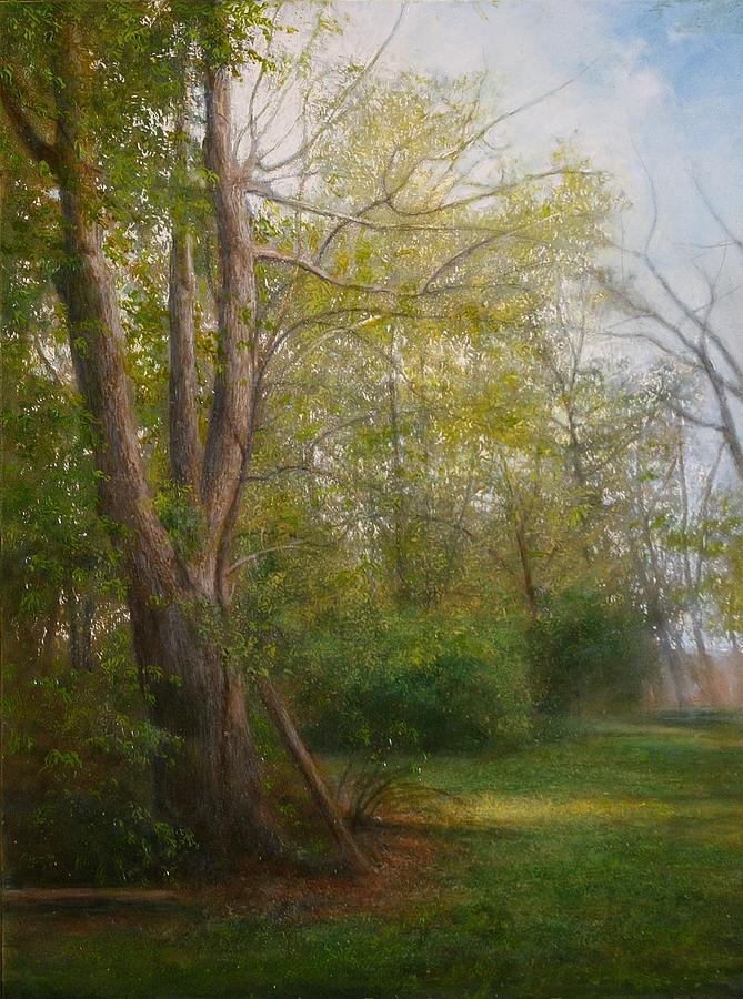 Sunlit Grove Painting by Wayne Daniels